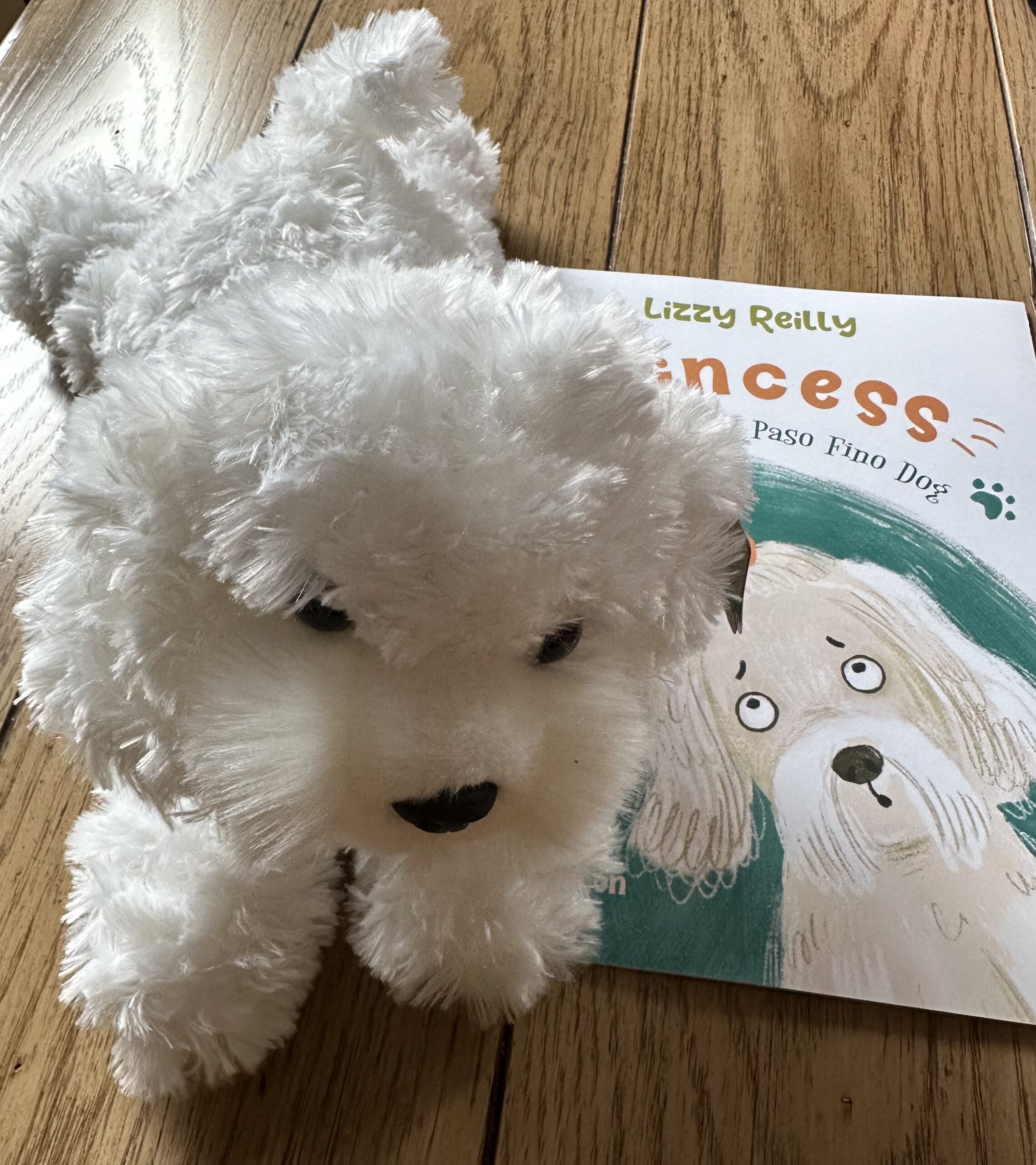 Stuff Animal Dog with Book in Spanish