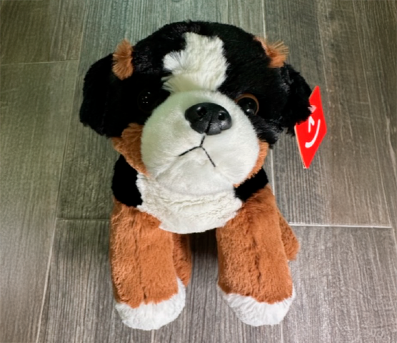 perro3